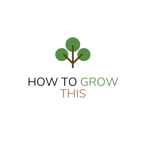 How_to_grow_this_favicon-preview