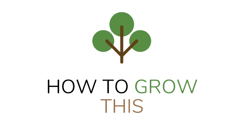 cropped-How_to_grow_this_favicon-removebg-preview.png